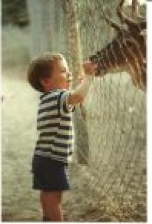 joachim et un cerf joachim et un cerf